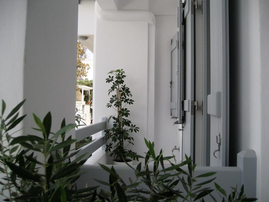 Aelia Apartments Naxos City Kültér fotó